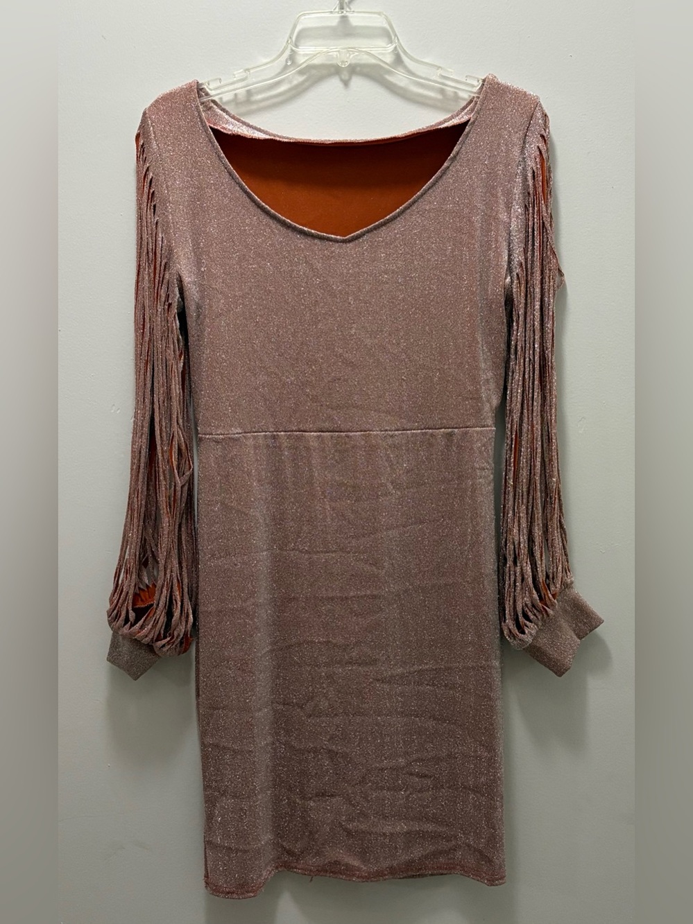 Shimmery Rose Pink Fringe Sleeve Dress